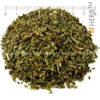 Mentha, Mint, Mentha piperita, leaf, HERB TM