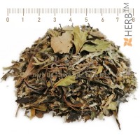 White Tea Pai Mu Tan - Spezial, Camellia Sinensis, HERB TM
