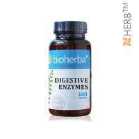 DIGESTIVE ENZYMES 100  CAPSULES
