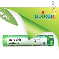 Agrafis, AGRAPHIS NUTANS CH 5 Boiron