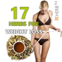 17 herbs, herbs for weight loss, herbs for detoxification, detox tea, herbs for weight loss price