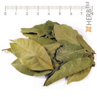 bay leaf herb, bay leaf for cough, bay leaf price, bay leaf recipes