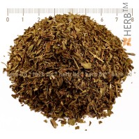 tarragon, taros leaf, Artemisia dracunculus, Tarragon price