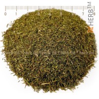 fennel, fennel stalk, fennel price, fennel tea, fennel spice