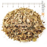 hazelnut herb, hazelnut tea for kidneys, hazelnut bark tea, hazelnut benefits, hazelnut action