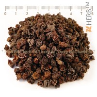 schisandra black, schisandra herb, schisandra tea, schisandra price, schisandra benefits
