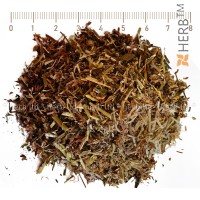 ЧЕРВЕНА ДЕТЕЛИНА, СТРЪК, Trifolium pratense
