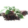 black elderberry, black elderberry fruit, elderberry black tea, sambucus nirga