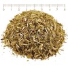 small-flowered willow, stalk, epilobium parviflorum, willow tea, herbs for the prostate