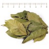 bay leaf herb, bay leaf for cough, bay leaf price, bay leaf recipes