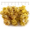 Dwarf Everlast, Immortelle Strawflower, Dwarf Everlast color, helichrysum arenarium, Dwarf Everlast price