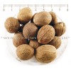 nutmeg herb, indian, nutmeg, whole nut, myristica fragrans, nutmeg price
