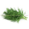 fennel herb, fennel tips, Anethum graveolens, fennel price, fennel for colic, fennel for stomach