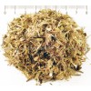 thistle herb, thistle healing properties, thistle for potency