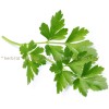 parsley leaf herb, parsley tea, merudia leaf, Petroscinum crispum Mill