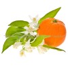 orange blossom herb, Herbs, medicinal teas, gourmet tea, natural cosmetics, homeopathy