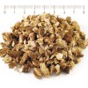 Carline Thistle, Carline Thistle root, Carlina acanthifolia All., Herb Carline Thistle for hemorrhoids