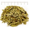 senna leaf herb, mother leaf application, senna herbal tea, herbs for pregnant