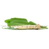 horseradish root, Armoracia rusticana, horseradish benefits, horseradish treatment