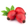 rosehip fruit, rosehip price, herb, Rosehip tea for kidneys