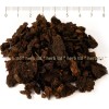 black walnut herb, black walnut price, black walnut shell, black walnut fruit