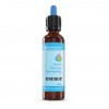 drops of bach, bach flower, energy, bach drops reviews,bach rescue drops