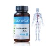 caprylic acid, bioherba, nutritional supplement with caprylic acid