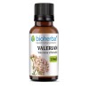 Valerian, tincture, Valeriana officinalis, herbal extract, nervous system, neurosis, stress, palpitations, insomnia, hysteria