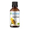 Propolis, tincture, propolis, herbal extract, propolis extract, immunity, immune system, viruses, bacteria, infections