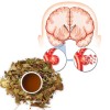 herbs for irrigating the brain and capillaries, herbal tea
