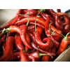 chili spice, ground chili pepper, minced chili price, minced chili recipes