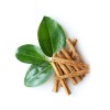real cinnamon, cinnamon, stik, cinnamon Ceylon spice, cinnamon bark application