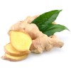 ginger, isioth root whole, zingiber officinal, Ginger root whole