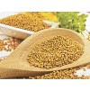 white mustard, mustard, powder seed, spice,  mustard herb, mustard powder, mustard flour, white mustard price