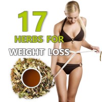 17 herbs for weight loss Tea, Herbal Tea Blend, HERB TM