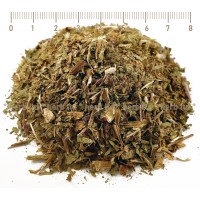 Dandelion Leafs, Taraxacum officinale L., leaf, HERB TM
