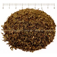 Spearmint tea, Mentha spicata, leaf, HERB TM