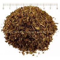 Tarragon, Artemisia dracunculus L., leaf, HERB TM