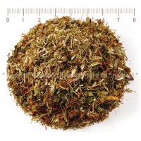 St Johns Wort Dried herb, Hypericum perforatum, flower, HERB TM