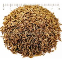 Caraway Whole Dried Seeds, Carum carvi L, seed, HERB TM