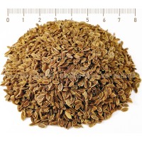 Dill seeds whole, Anethum graveelens L., seed, HERB TM