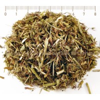  Wild basil tea, Clinopodium vulgare L., stem, HERB TM
