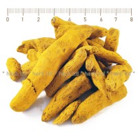 Turmeric whole dry root, Curcuma longa, root whole, HERB TM