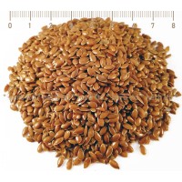 Flax Seeds whole, Linum usitatissimum, seed, HERB TM