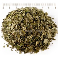 Linden Herbal tea Leafs, Tilia cordata, HERB TM