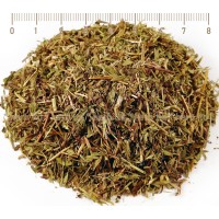 Thyme tea, Thymus serpyllum, stem, HERB TM