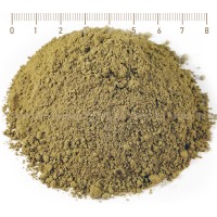 Bladderwrack powder, Fucus vesiculosus, algae, HERB TM