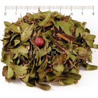 Bearberry Dried Leaves, Uva Ursi, leaf, HERB TM