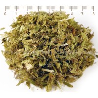 Greek Mountain Tea, Sideritis scardica, stem cut, HERB TM