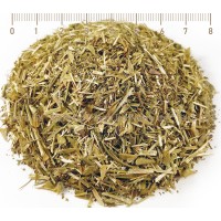 Shepherd's Purse Herb, Capsella bursa pastoris, stem, HERB TM